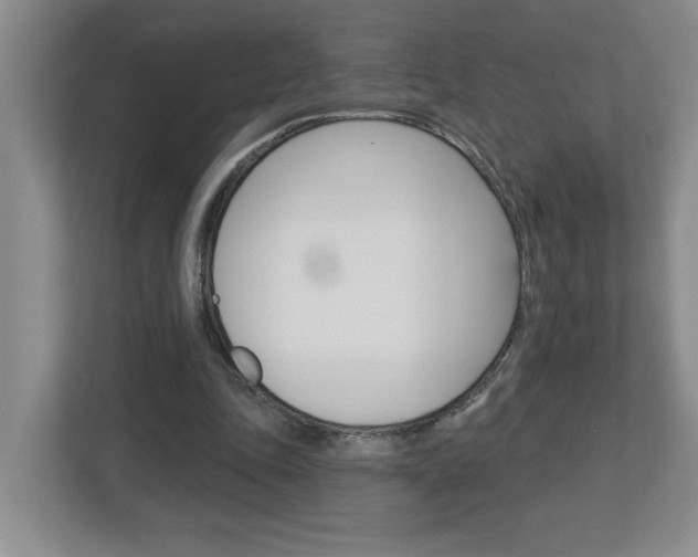 X0000113050343200908271059