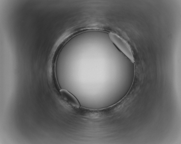 X0000113050344200908271059