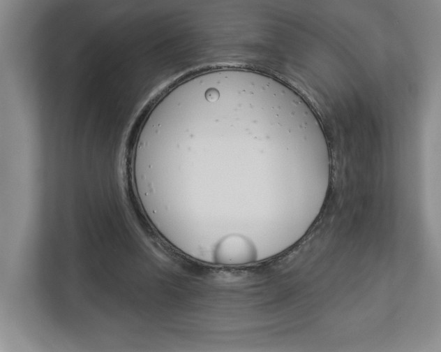 X0000113050346200908271059