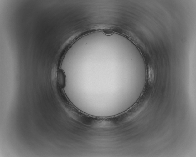 X0000113050348200908271059