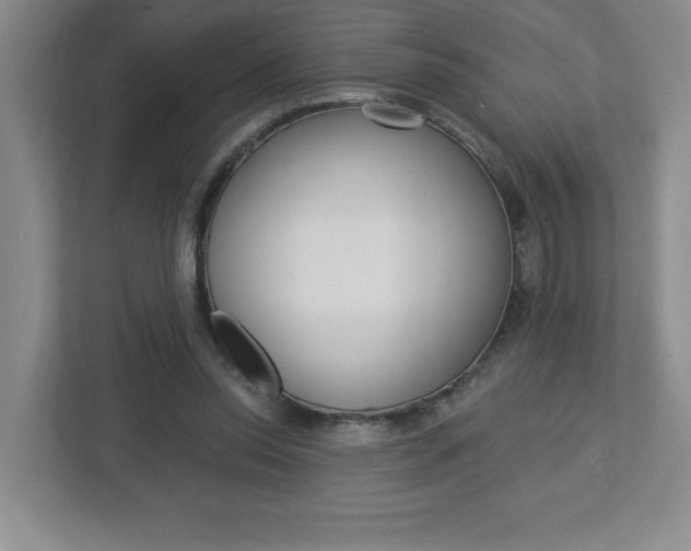 X0000113050350200908271059