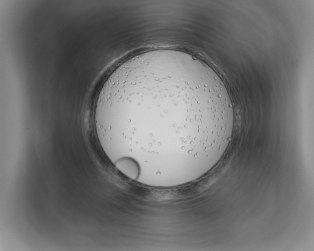 X0000113050351200908271059