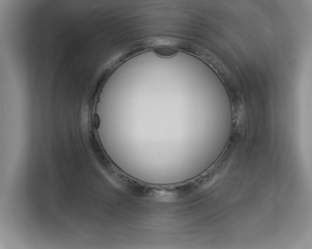 X0000113050352200908271059