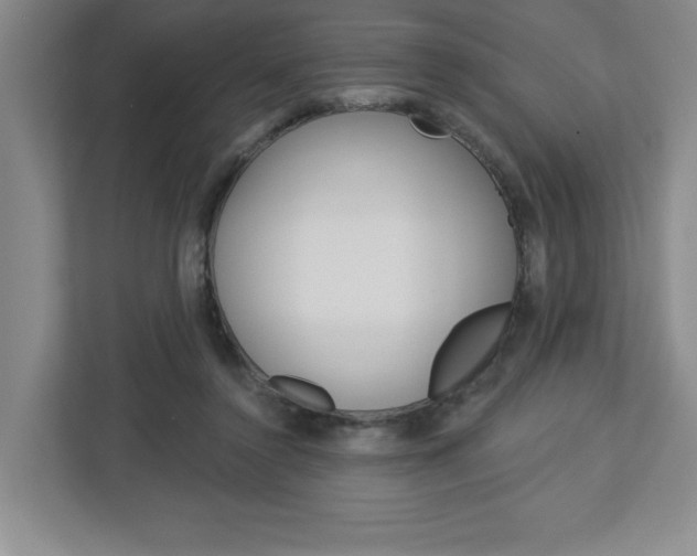 X0000113050356200908271059