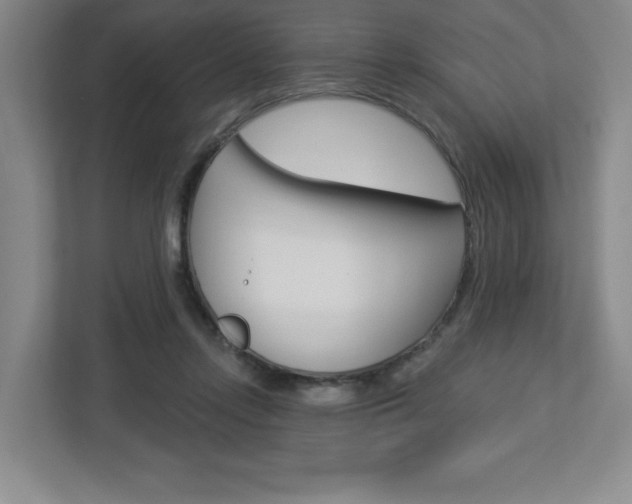 X0000113050358200908271059