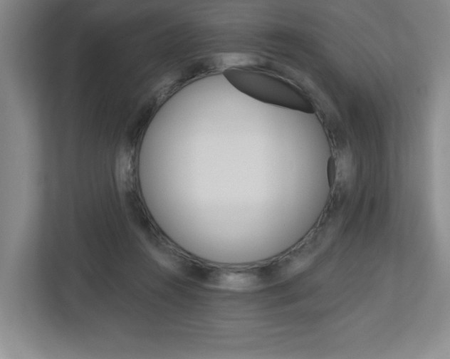 X0000113050360200908271059
