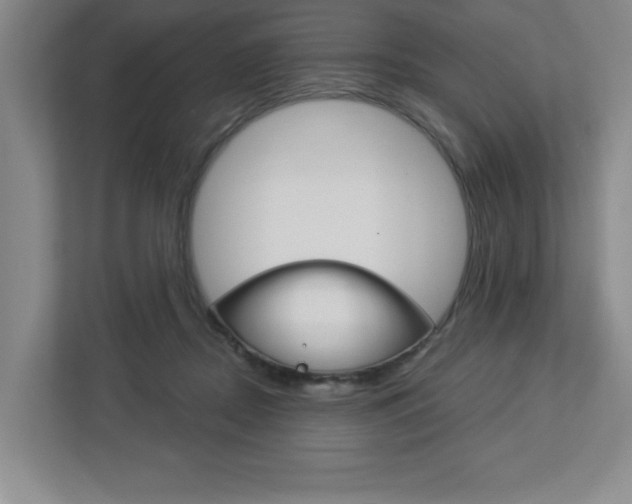 X0000113050362200908271059