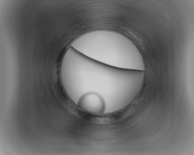 X0000113050366200908271059