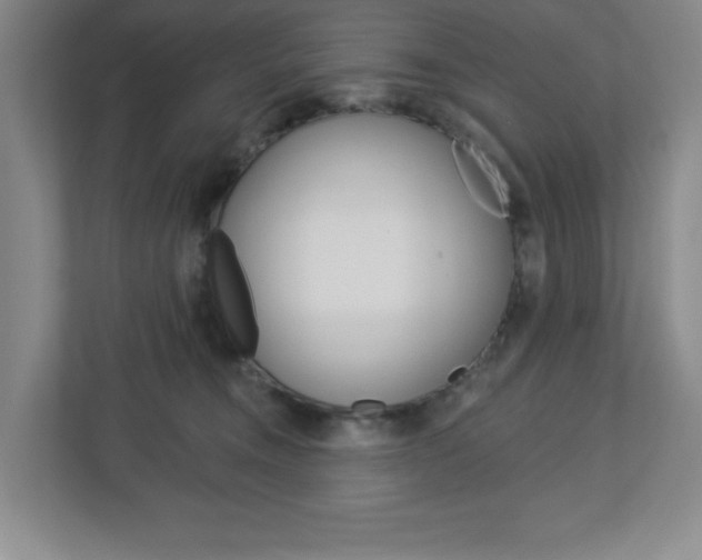 X0000113050372200908271059
