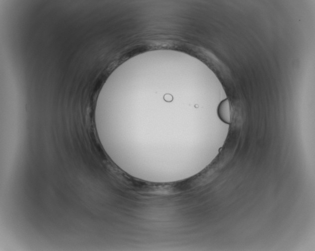 X0000113050377200908271100