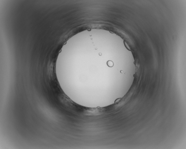 X0000113050381200908271100