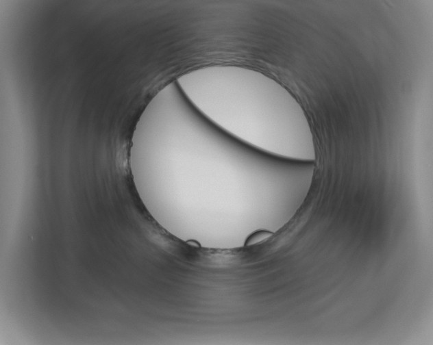 X0000113050383200908271100