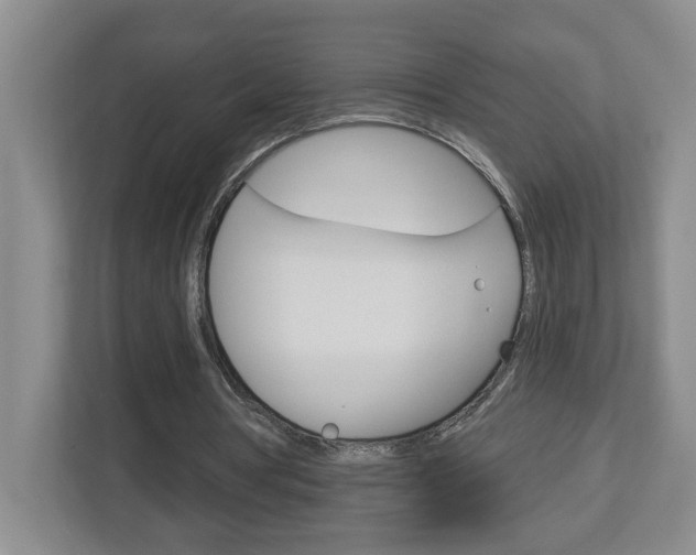 X0000113050386200908271059