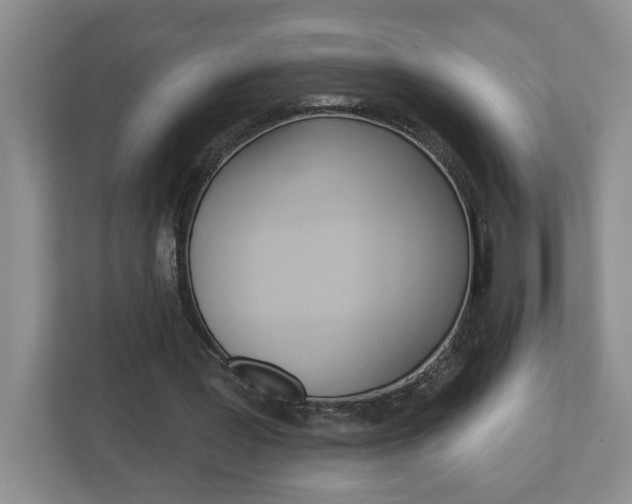 X0000113050387200908271059