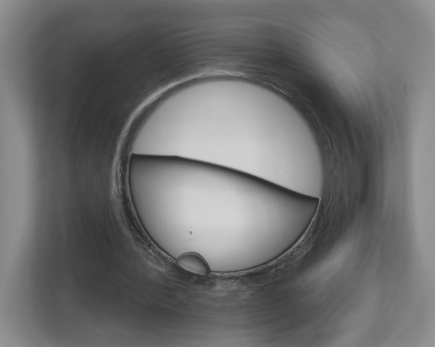 X0000113050388200908271059