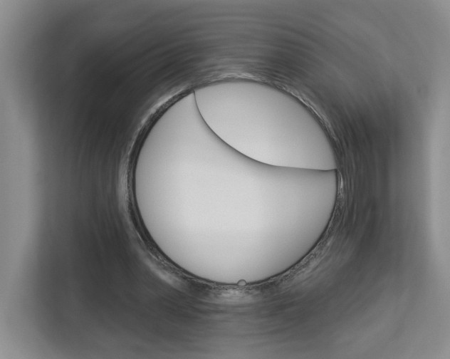 X0000113050390200908271059