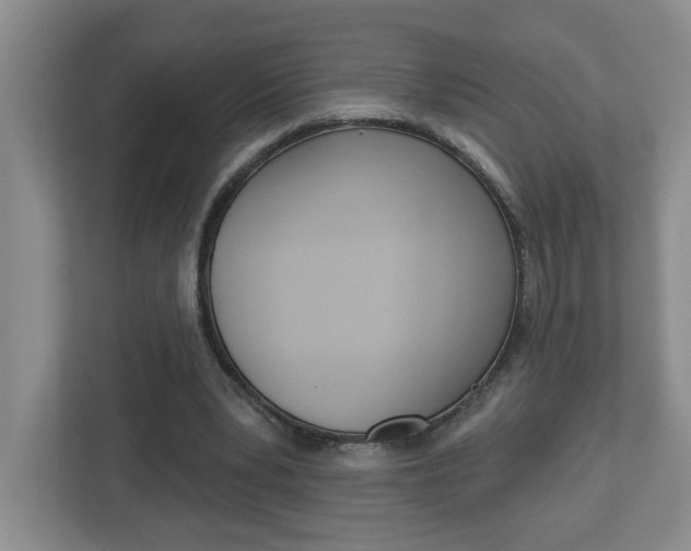 X0000113050391200908271059