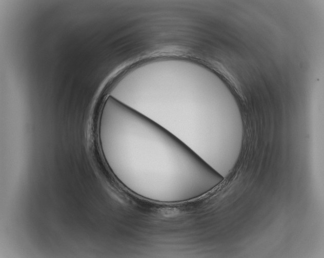 X0000113050392200908271059