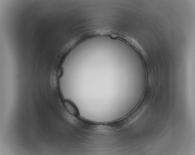 X0000113050393200908271059