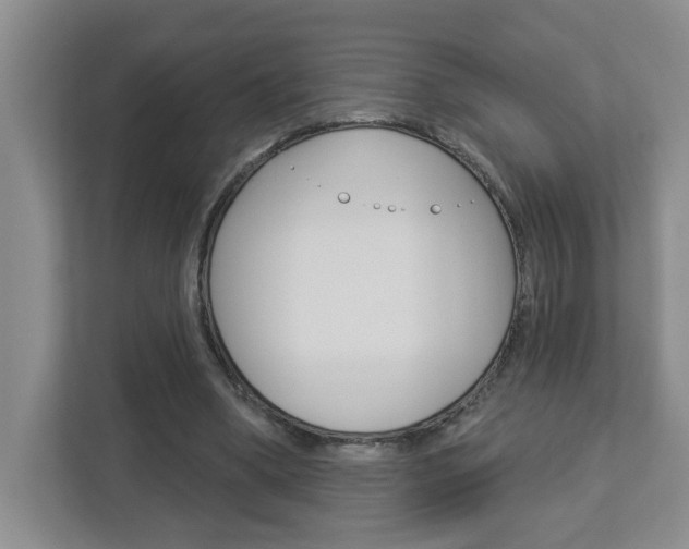 X0000113050394200908271059