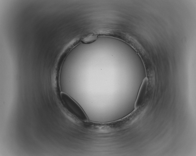 X0000113050395200908271059