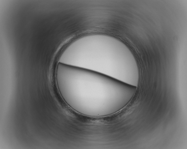 X0000113050396200908271059