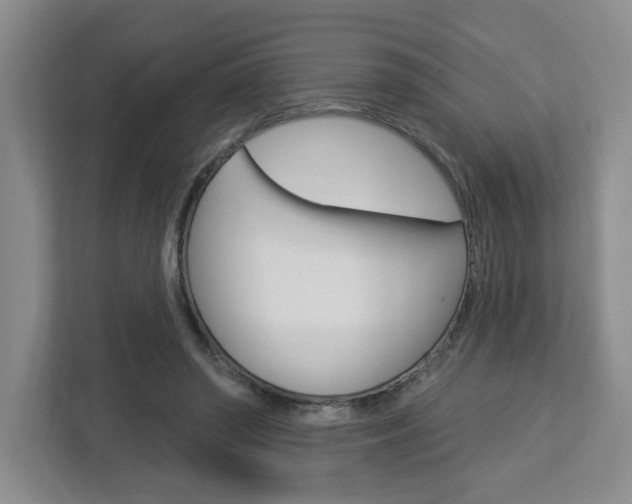 X0000113050398200908271059