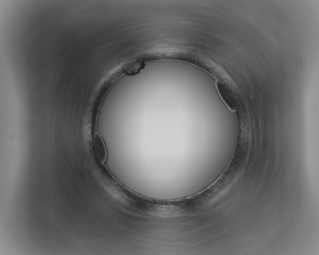 X0000113050399200908271059