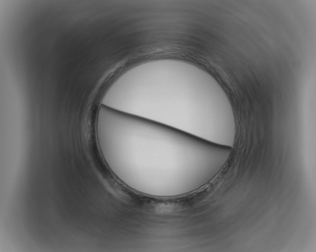 X0000113050400200908271059
