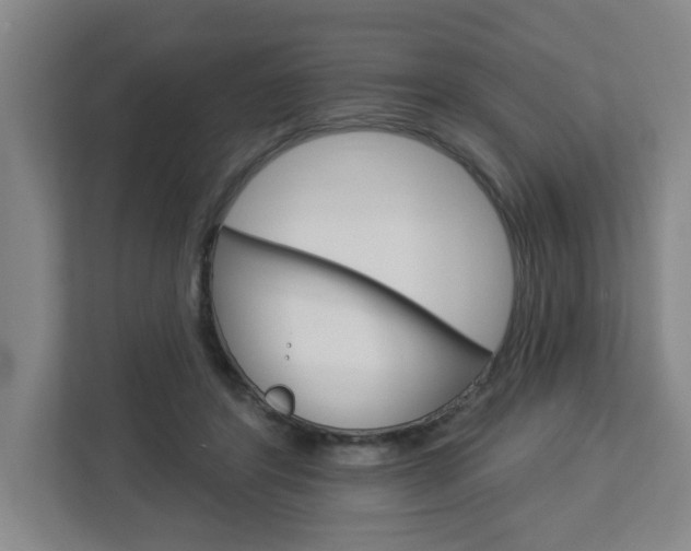 X0000113050404200908271059
