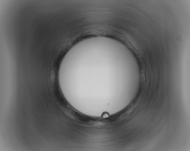 X0000113050412200908271059