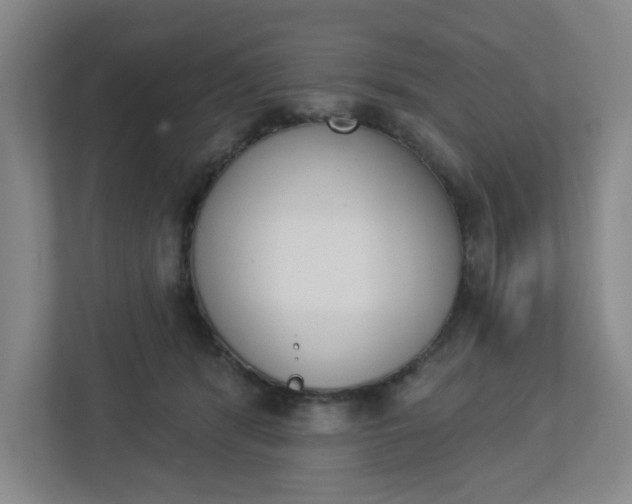 X0000113050416200908271059