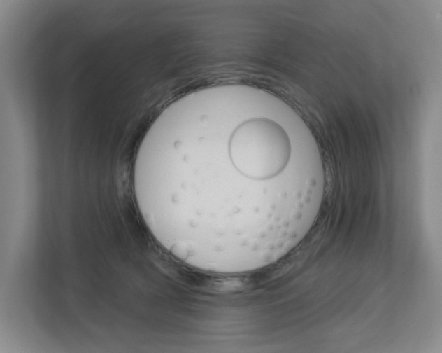 X0000113050418200908271059