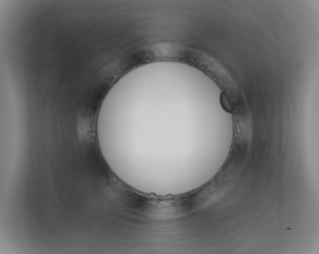 X0000113050419200908271059