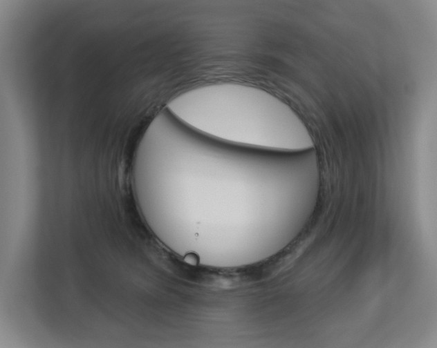 X0000113050420200908271059
