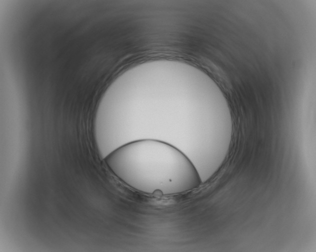 X0000113050421200908271059
