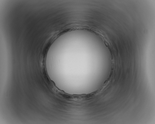 X0000113050423200908271058