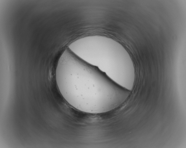 X0000113050424200908271058