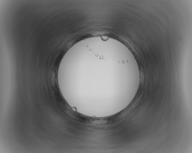 X0000113050426200908271058