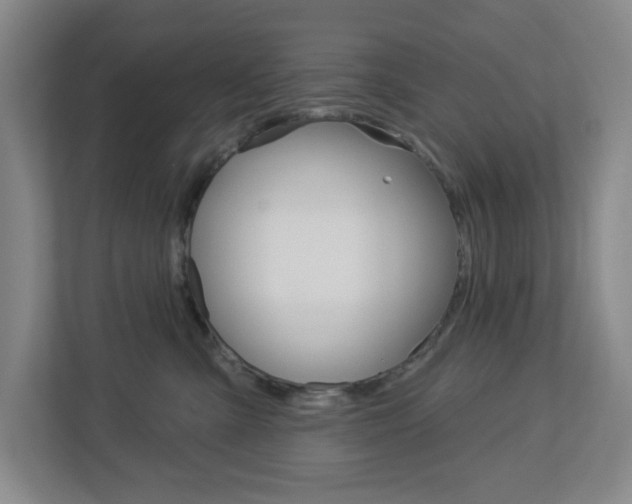X0000113050427200908271058