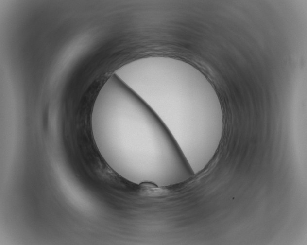 X0000113050429200908271058