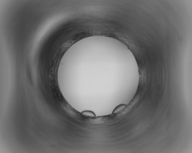 X0000113050430200908271058