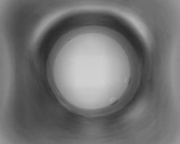 X0000113050431200908271058