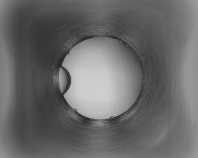 X0000113050432200908271058