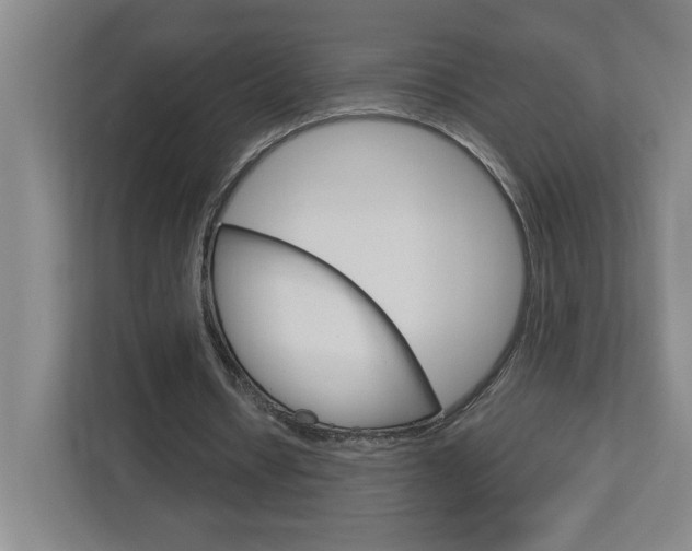 X0000113050434200908271058