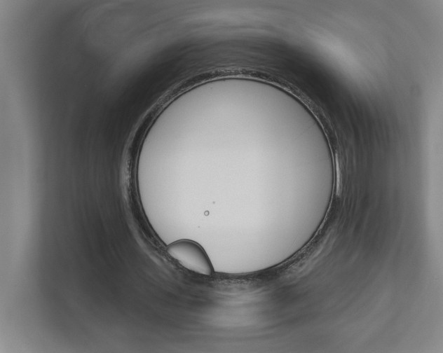 X0000113050435200908271058