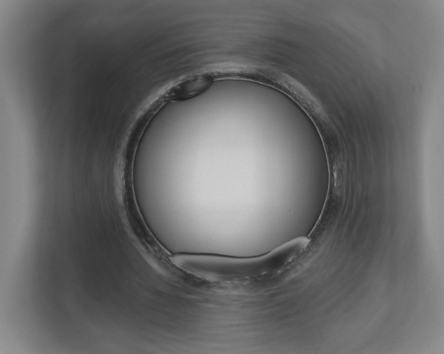 X0000113050436200908271058