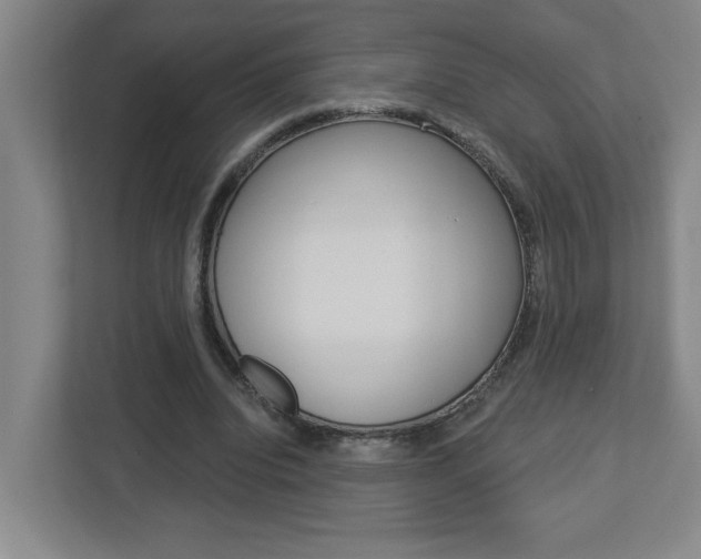 X0000113050440200908271058