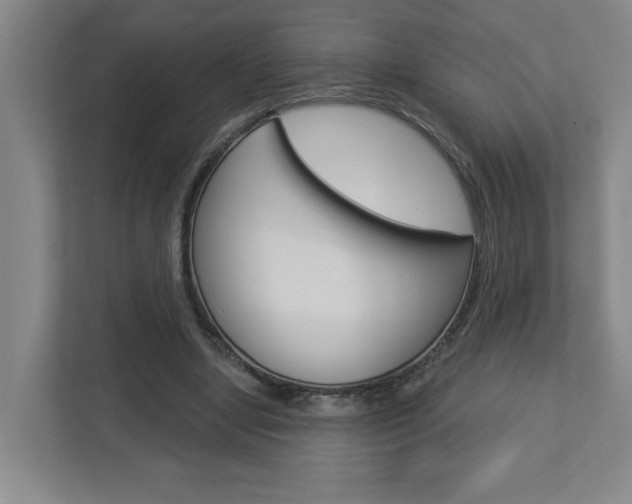 X0000113050442200908271058