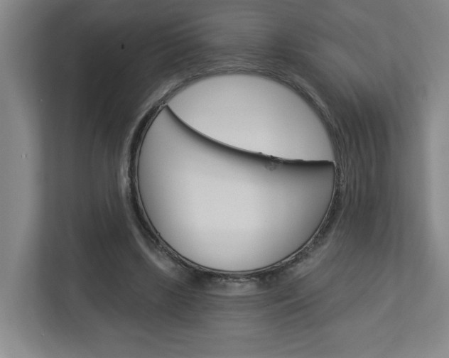 X0000113050443200908271058
